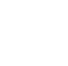 GitHub GitHub